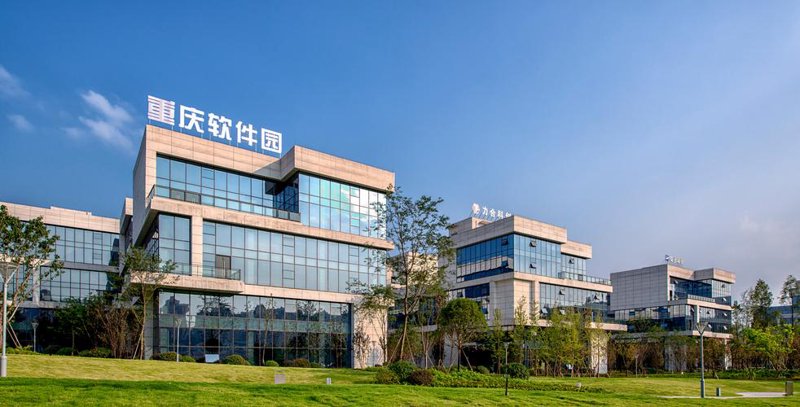 重庆软件开发：科技之树在巴渝大地上的生长